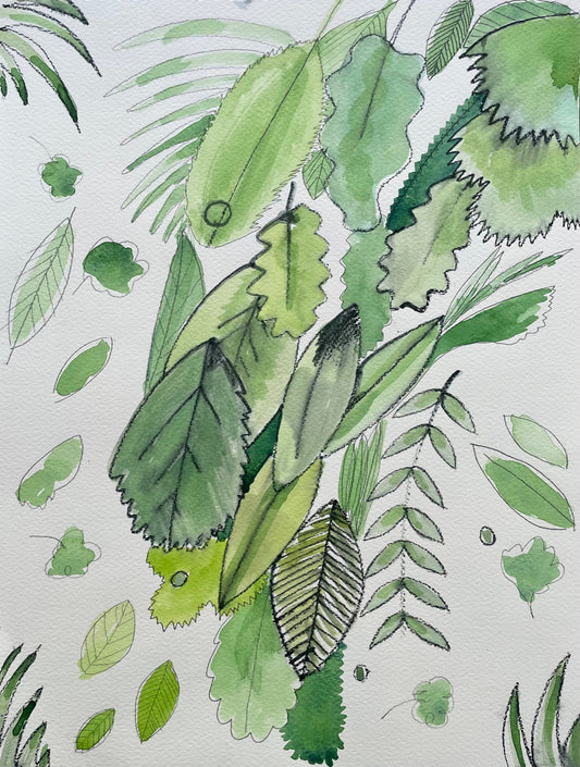 A charcoal pencil sketch of cascading verdant leaves of various types with a wash of watercolor.   Charcoal Pencil and Watercolour on Watercolour Paper 300gsm  Unframed   