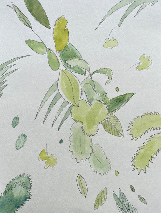 A variety of leaves including palms spread across the paper, the pencil sketches delicately coloured with green watercolour.  Pencil and Watercolour on 300gsm Watercolor Paper,  40.6 x 30.5cm, unframed